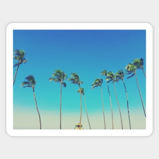 Baldwin Palms and Lifeguard Stand Sticker